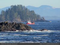 photo-East-of-Amphitrite-Lighthouse-118-2009-01-19-151-Tenacious-coming-in-Near-Ucluelet-B.C.